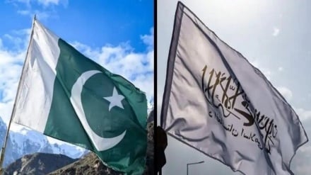 د افغانستان او پاکستان بدلونونو ته یوه ځغلنده کتنه 