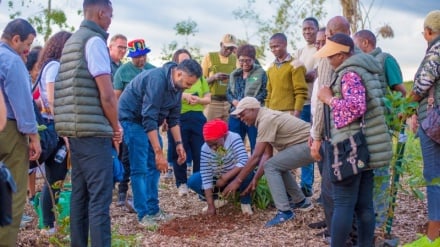 Sosyal girişimler; Afrika’da kapsayıcı büyümenin yeni motoru