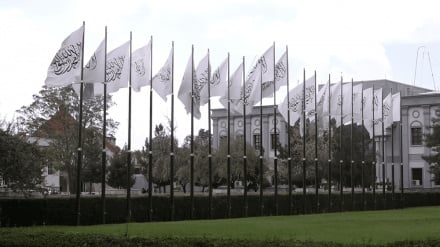 طالبان حمله تروریستی در سوریه را محکوم کرد