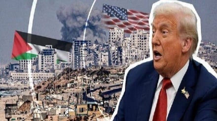 Сионистский режим обеспокоен давлением Трампа с целью начала второго этапа прекращения огня в Газе без разоружения.