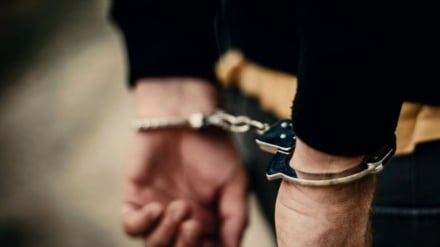 Almaniya deputat dastqir kardə bə         