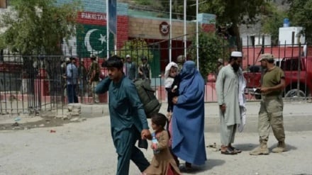 اجرای قوانین بین‌المللی مهاجرت؛ درخواست حکومت طالبان از پاکستان