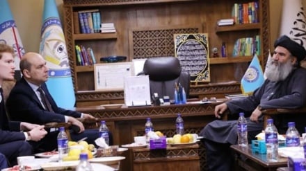 طالبان وایي چي له مخدره موادو سره په مبارزه کې نړیوال ملاتړ ته ضرورت لري