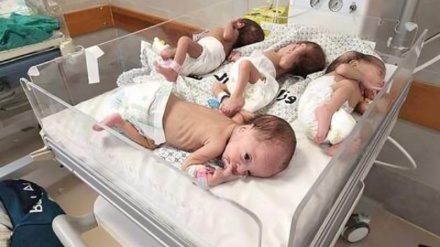 Gazze’de Organ Eksikliğiyle Doğan Bebeklere İlişkin Endişe Verici İstatistikler; İsrail Savaşının Doğrudan Sonucu