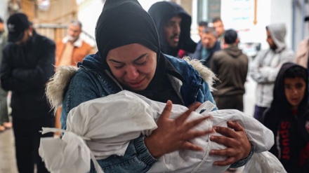 Центр по правам человека в Газе: Прекращение огня не предотвращает израильскую агрессию, это инструмент для борьбы с геноцидом