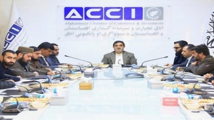 حل مشکلات تجارتی؛ افغانستان و پاکستان کمیته مشترک تشکیل دادند 