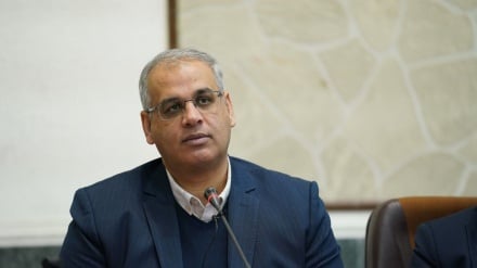 Iran dan Afghanistan Tekankan Pengembangan Kerja Sama Bilateral di bidang Pasar Tenaga Kerja