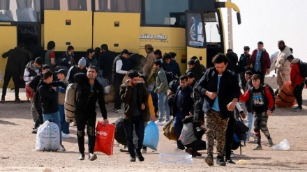 بیش از یک سوم بازگشت‌کنندگان به افغانستان قادر به اشتغال نیستند