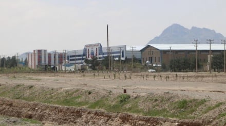 هزار سرمایه‌گذار در هرات منتظر تخصیص زمین برای ساخت کارخانه