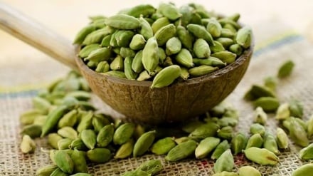 Medicina tradizionale irano-islamica | Il cardamomo: un seme profumato per rafforzare la digestione e calmare il corpo