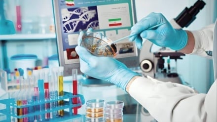 İran kök hücre alanında dünyada hangi konumda?