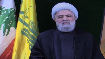 شیخ نعیم قاسم: آزادی اسرا در اولویت است