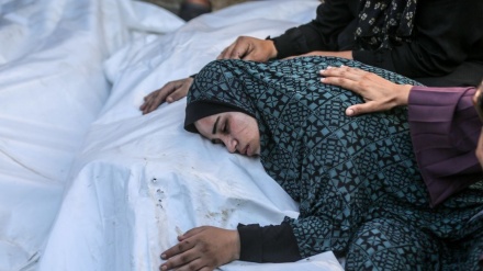 Режими саҳюнистӣ 15 фаластиниро ба шаҳодат расонд