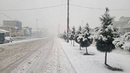 کابل با بارش نخستین برف سفید پوش شد