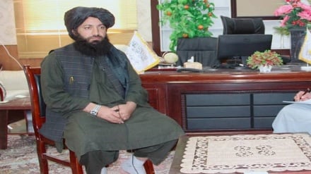 کمیسار بندر اسلام قلعه: ایران نقش کلیدی در تجارت افغانستان دارد