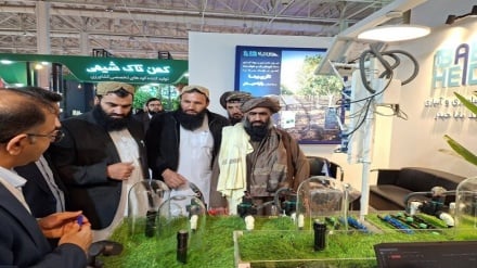 کارشناسان: همکاری ایران در بخش زراعت به نفع افغانستان است