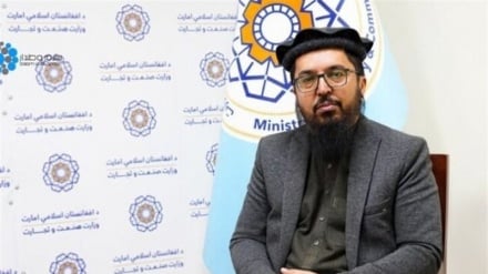 Iran größter Handelspartner Afghanistans – Kabuls Importe aus Teheran steigen auf 3,45 Milliarden US-Dollar