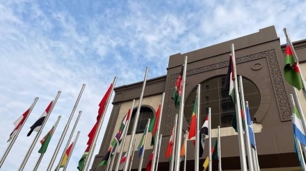 نشست سازمان همکاری اسلامی با موضوع سومالی لند