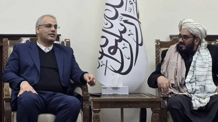 معاون وزیر تعاون، کار و رفاه اجتماعی ایران وارد کابل شد