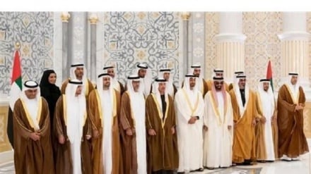 په اروپا کې د اسلام ضده پروسې په پراختیا کې د اماراتو رول رابرسیره شو 