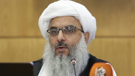 تاکید استاندار هرات بر تقویت تجارت ایران و افغانستان