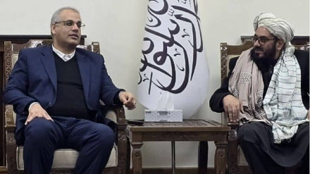 تبادل نیروی کار و توسعه آموزش‌های فنی؛ محور رایزنی ایران و افغانستان 