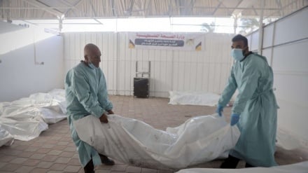 ܫܡܛܬܐ ܕܡܟܠܝܬܐ ܕܦܠܫܐ ܒܓܼܙܗ- ܣܗܕܘܬܐ ܕ3 ܦܠܣܬܝܢܝܐ ܒܢܫܪܝܬܐ̈ ܕܫܘܠܛܢܐ ܨܗܝܘܝܢܐ