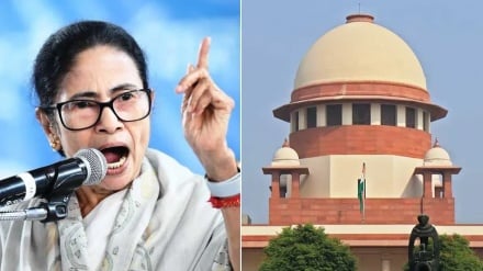 আমি উকিল, মানুষের মৃত্যু, হয়রানি নিয়ে প্রয়োজনে প্লিড করব: মমতা