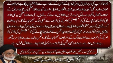 اعلام حمایت قاطع مجلس علمای اهل بیت پاکستان از رهبر معظم انقلاب