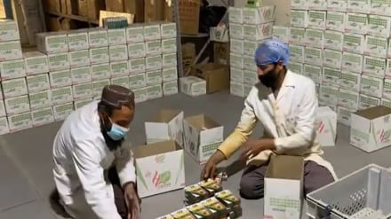 خودکفایی قندهار در تولید مصالح غذا