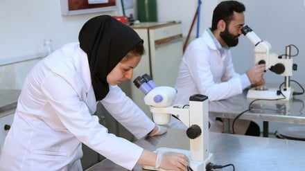 Cila është pjesa e Iranit në prodhimin shkencor në botë?