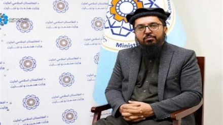 افزایش مبادلات تجاری افغانستان و ازبکستان تا یک میلیارد دلار 