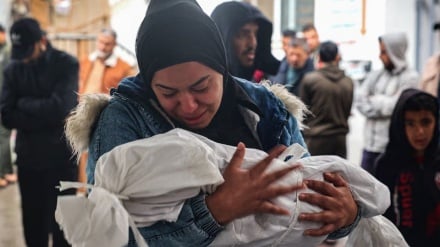 Qendra për të Drejtat e Njeriut në Gaza: Armëpushimi nuk e parandalon agresionin izraelit, por është një mjet për menaxhimin e gjenocidit