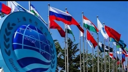 Condolencias de la Organización de Cooperación de Shanghái al pueblo y al Gobierno de Irán