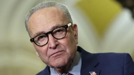 Líder de minoría del Senado de EE.UU.: Los estadounidenses están hartos de Trump y los republicanos