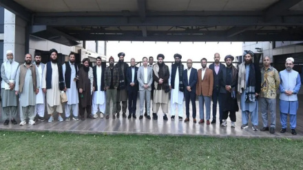 افغانستان کې د پنبې سوړ بازار؛ بنګله‌دېش یې پېرلو ته لېوالتیا ښودلې