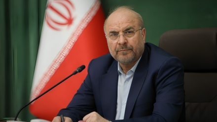 Iranian Parliament | Qalibaf: Iranian people fulfill duty in 12-day war, fight against terrorists