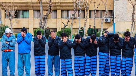 সহিংসতায় নেতৃত্বদানকারীদের গ্রেফতার করেছে ইরানের নিরাপত্তা বাহিনী