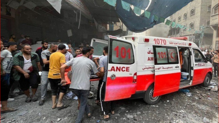 Գերմանական Կարմիր խաչի նախագահը հայտնել է Գազայում դեղորայքի պակասի մասին