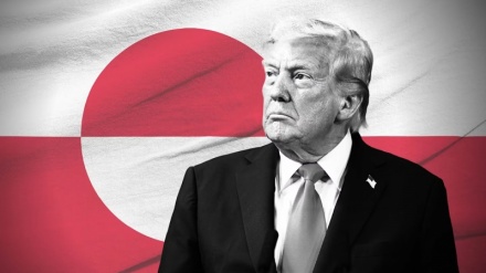 Politico: ЕС призывает к прямой конфронтации с Трампом