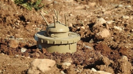 پاک‌سازی نزدیک به هشت کیلومتر‌مربع خاک افغانستان از وجود ماین‌ها 