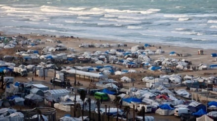 הגרדיאן: אוהלים המסופקים לעקורים אינם מתאימים לחורף בעזה