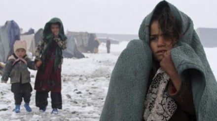 هشدار سازمان ملل درباره ناامنی غذایی ۱۷ میلیون افغان در زمستان