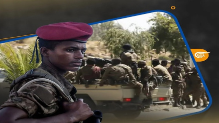 Shirika la Ndege la Ethiopian Airlines limefuta safari zake kwenda Tigray kwa sababu ya mapigano 