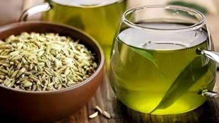 طب سنتی ایرانی – اسلامی | رازیانه؛ گیاهی گرم برای تقویت هضم و تعادل هورمونی