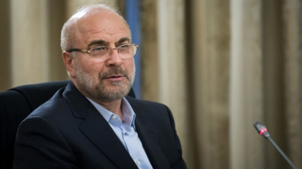 क़ालीबाफ़: ईरान की जनता सशस्त्र आतंकवादियों के सामने डटकर खड़ी है / ब्रिटेन के रक्षा मंत्री के बयानों पर रूस की प्रतिक्रिया