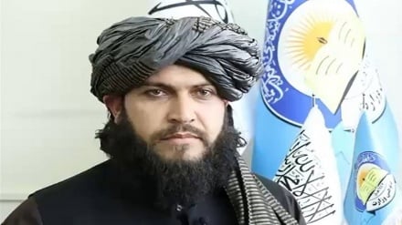 طالبان: 13 میلیون طفل در افغانستان در حال تعلیم هستند