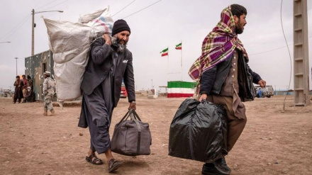 حمایت از پناهندگان و مهاجران در ایران نیازمند همکاری‌های بین‌المللی است