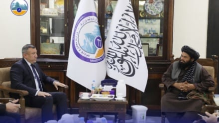 چوکی داغ (تاکید مقام حکومت طالبان بر تسریع روند عملی کار پروژه تاپی) 10 11 1404