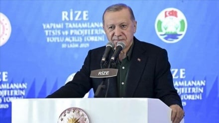 Erdogan: Irán superará la prueba actual con una diplomacia inteligente